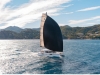 nav_NCL0982_A3m